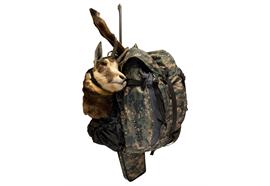 CARJANI Jagdrucksack Ultra Pack, Camo